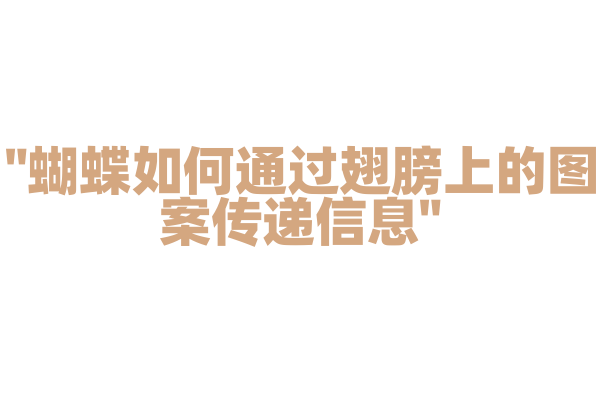 "蝴蝶如何通过翅膀上的图案传递信息"